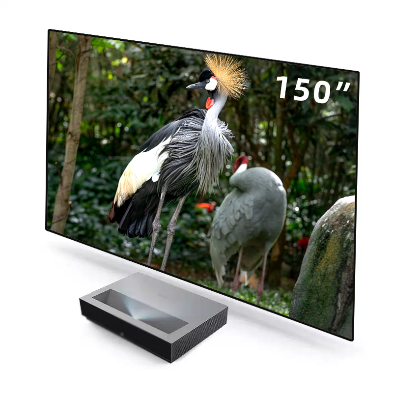 2026年 HOT ALR PET クリスタルブラックグリッ - Alr Ambient Light Rejecting Projector Screen のレビューと価格