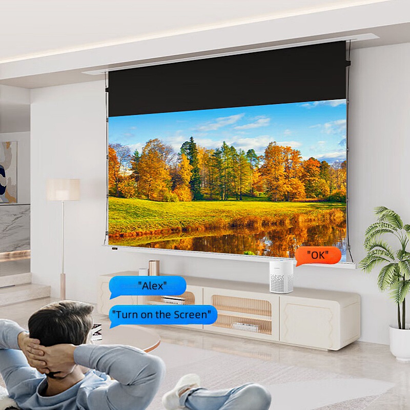 天井埋め込み式プロジェクタースクリーン,4k,8kプレミアム - Alr Ambient Light Rejecting Projector Screen のレビューと価格