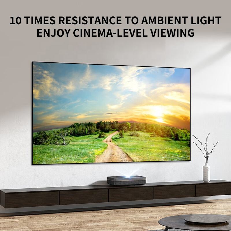 100-120インチ ALR UST プロジェクタースクリー - Alr Ambient Light Rejecting Projector Screen のレビューと価格