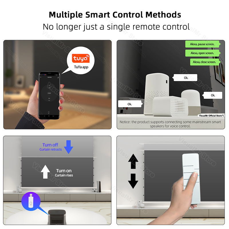 Visualmr-電気フロアレイジングアラーブラックダイヤモ - Alr Ambient Light Rejecting Projector Screen のレビューと価格